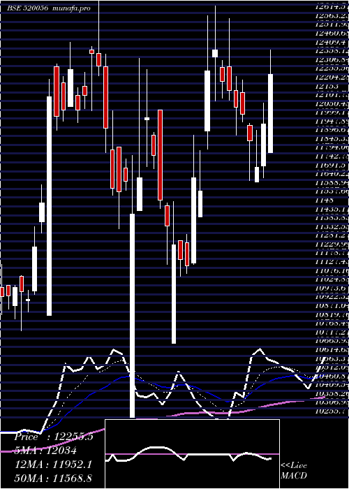  Daily chart SundarClay