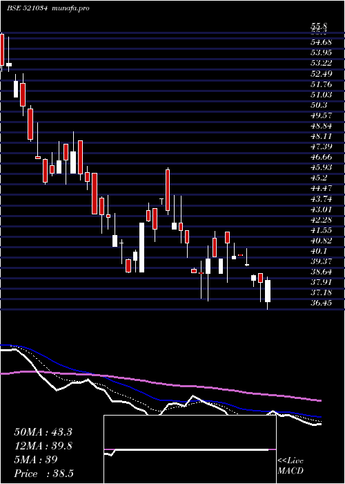  Daily chart SomaTextile