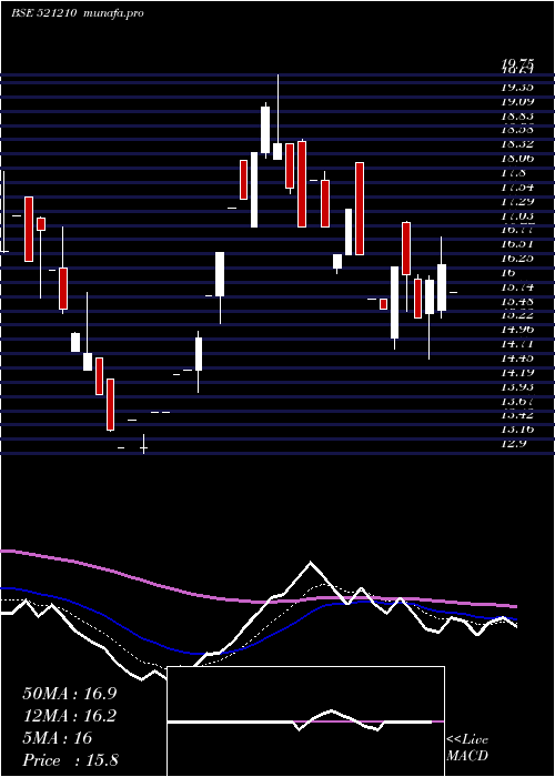  Daily chart Cityman
