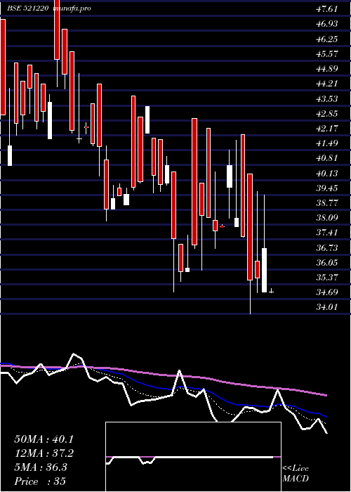  Daily chart Damoindus