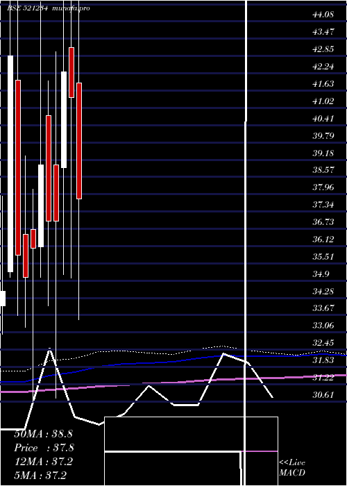  monthly chart SriNachamai