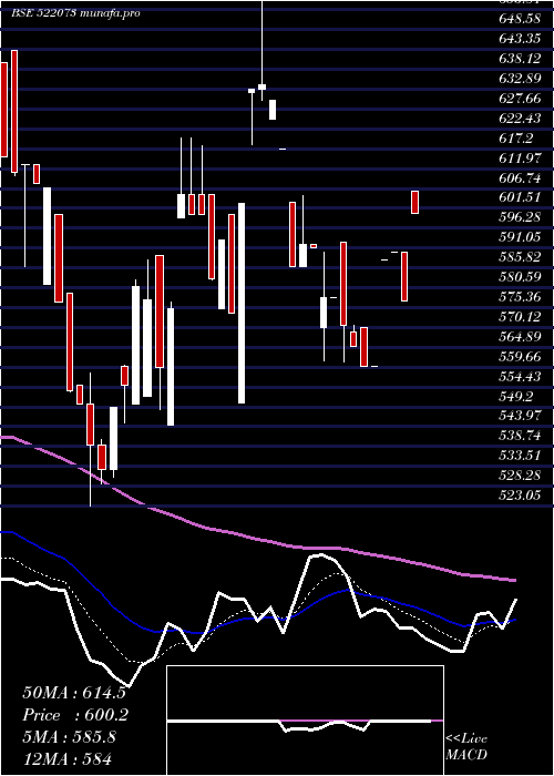 Daily chart Hitechgear