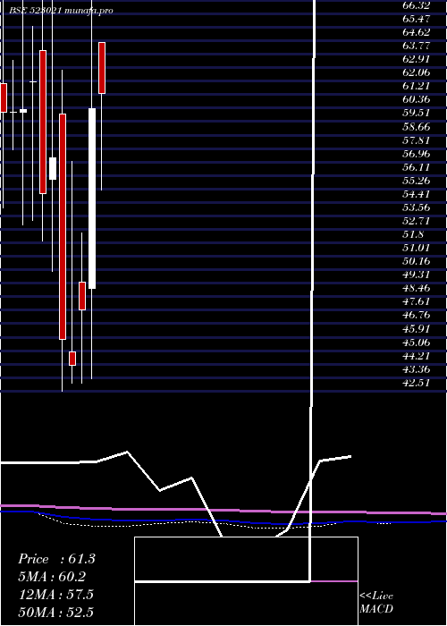 monthly chart Rishitech
