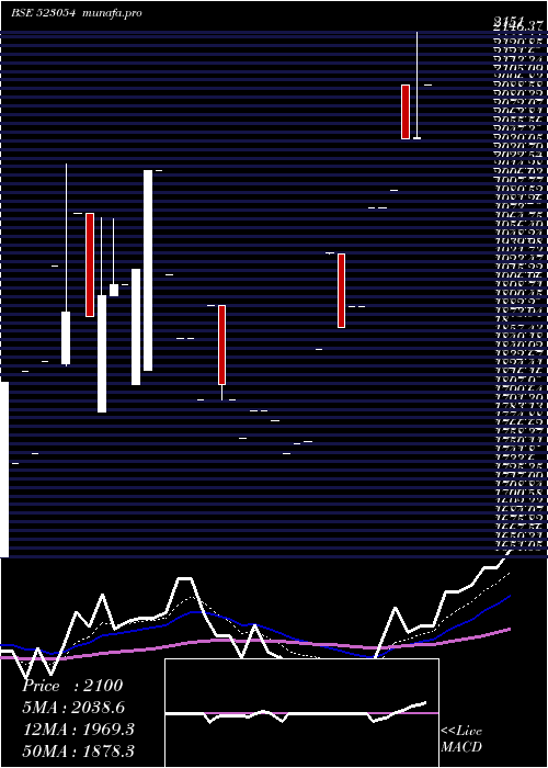  Daily chart BinTex