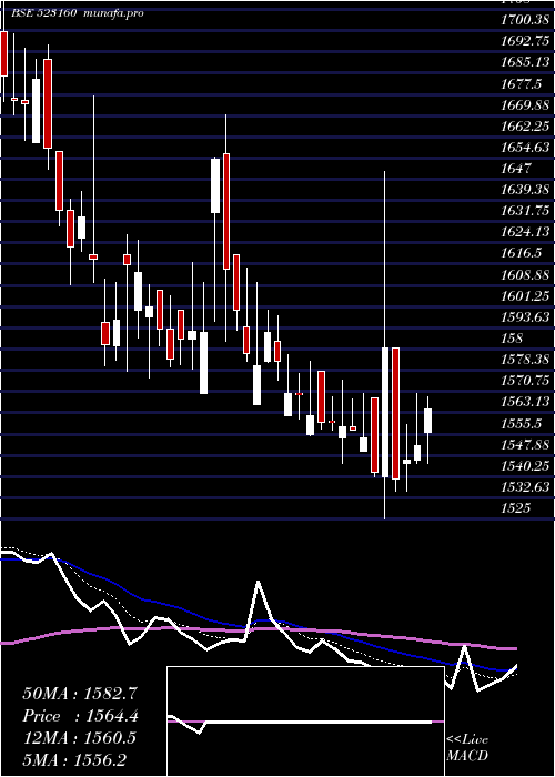  Daily chart MorganCru
