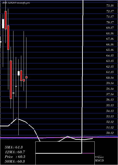  monthly chart AdvaniHotel