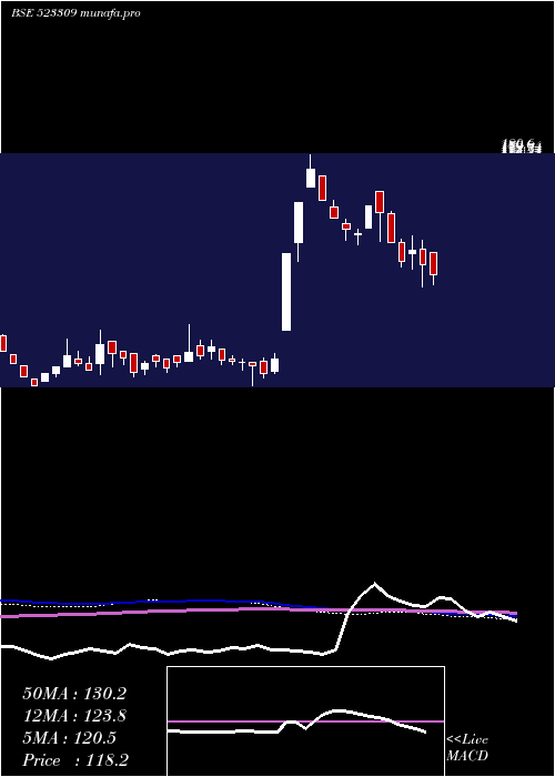  weekly chart ShrigangInd