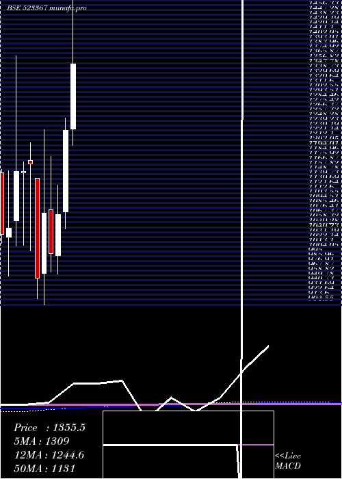 monthly chart Dcmshriram