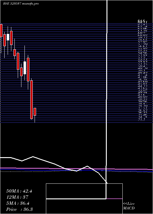  monthly chart ApmIndus