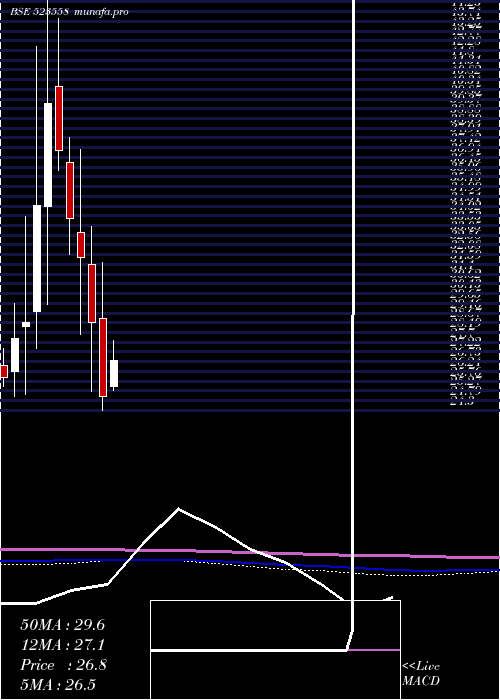  monthly chart Network