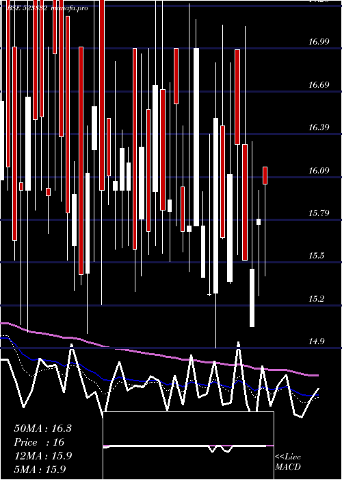 Daily chart MukatPipes
