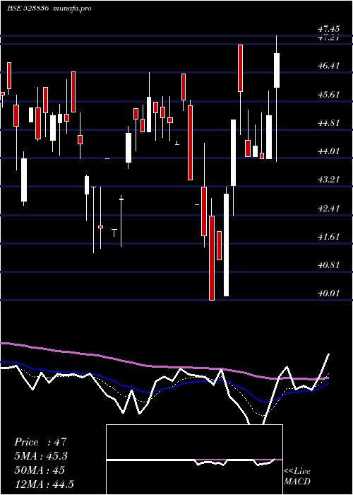  Daily chart GujRaffia