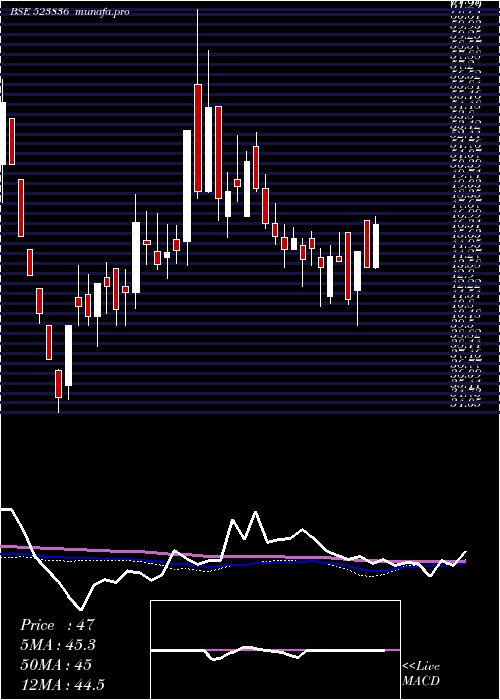  weekly chart GujRaffia