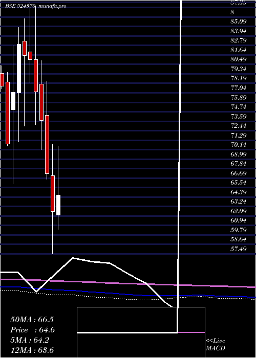  monthly chart BodalChem