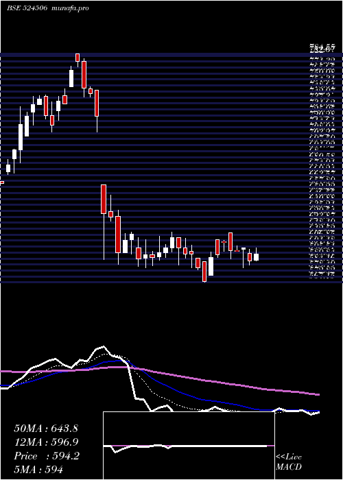  Daily chart CoralLab