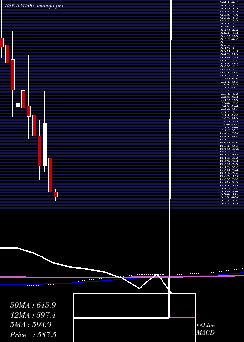  monthly chart CoralLab