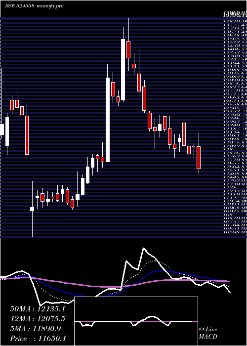  Daily chart NeulandLab