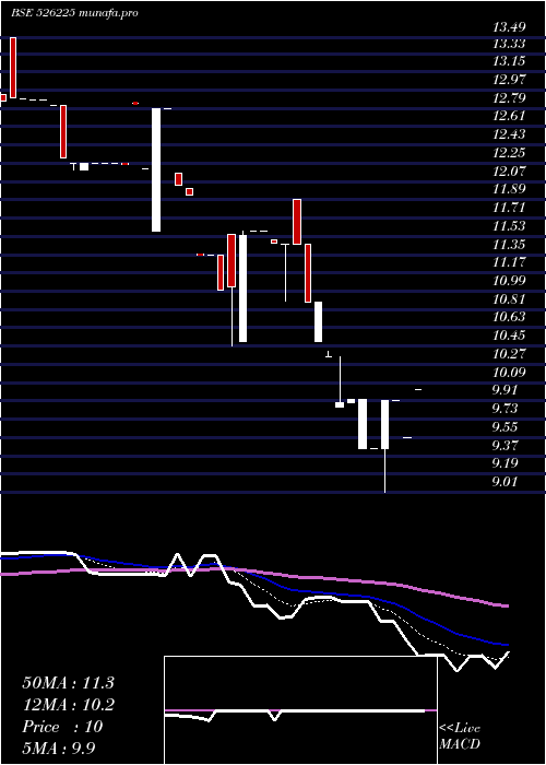 Daily chart BloomDekor
