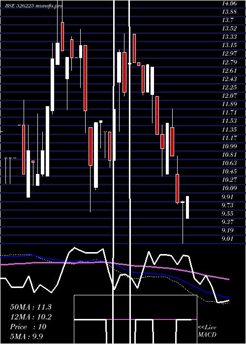 weekly chart BloomDekor