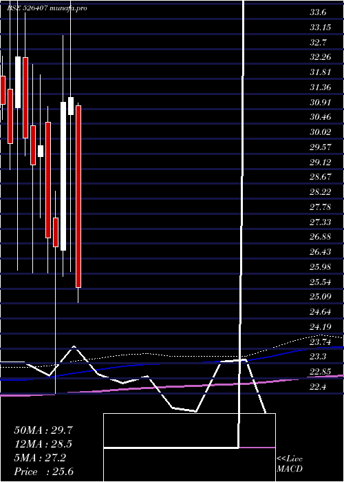  monthly chart RitPro