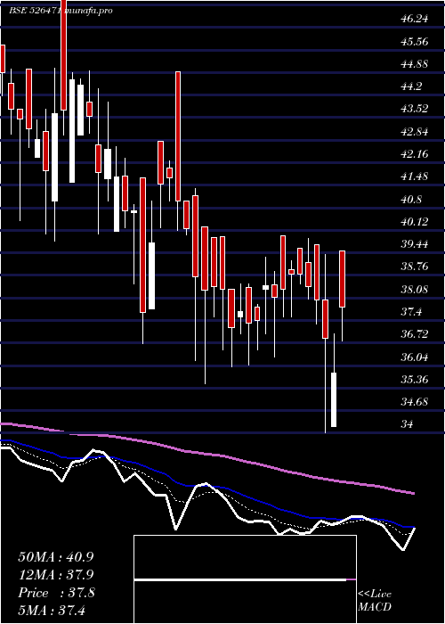  Daily chart WinsomeBrew