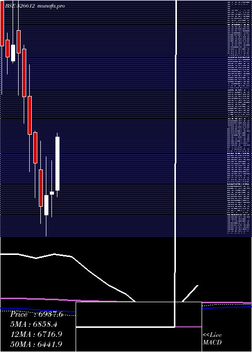 monthly chart BlueDart