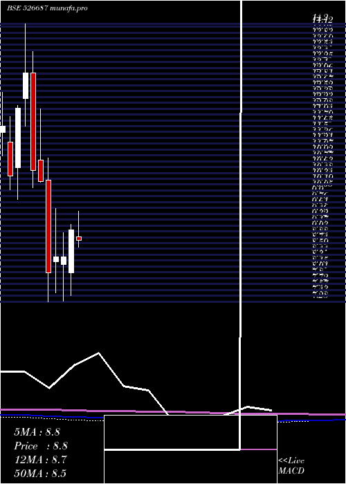  monthly chart PoloHotels