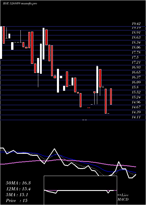  Daily chart Shelter