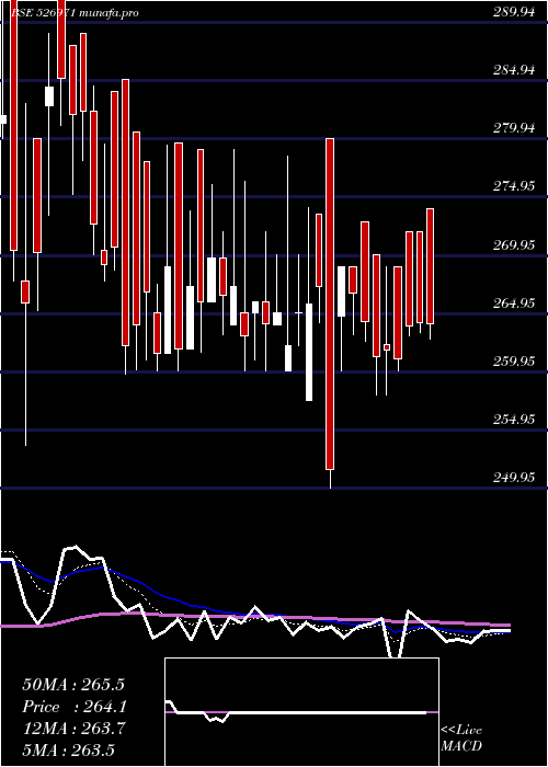 Daily chart DhootI