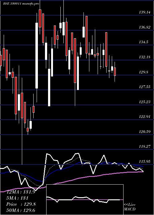  Daily chart ManglrChem