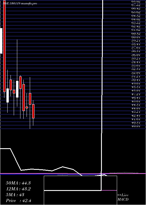  monthly chart NatrajProte