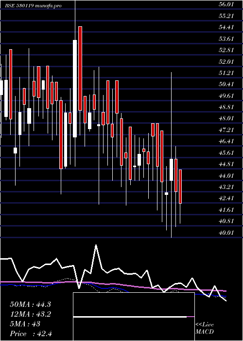  weekly chart NatrajProte