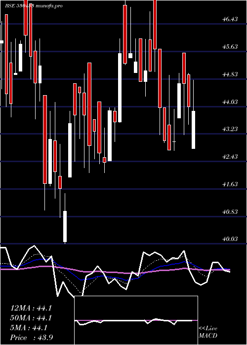  Daily chart ShivaFert