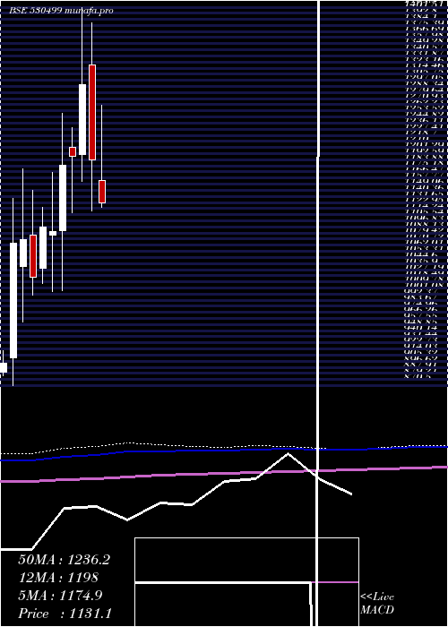  monthly chart AK