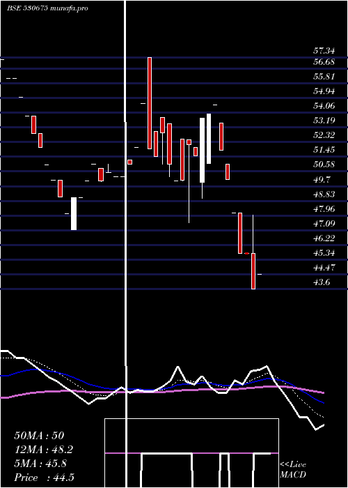  Daily chart YorkExports