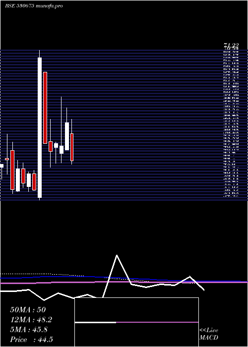  monthly chart YorkExports