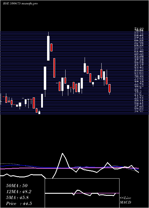  weekly chart YorkExports