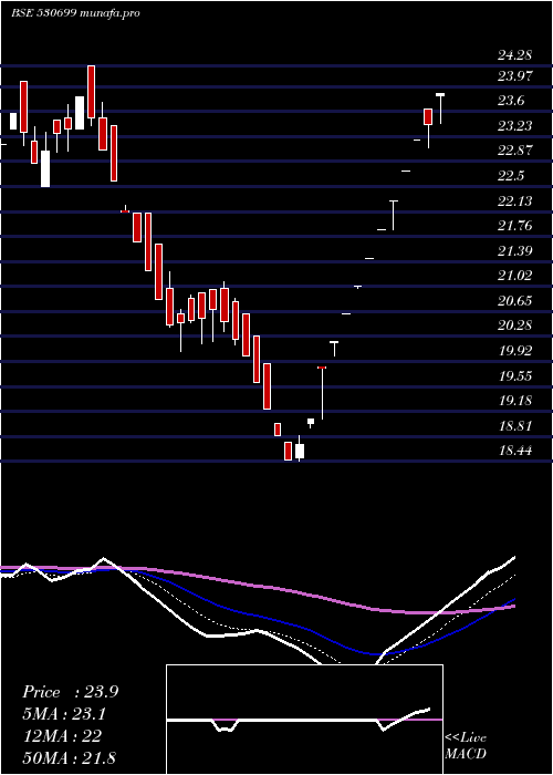  Daily chart Rajrayon