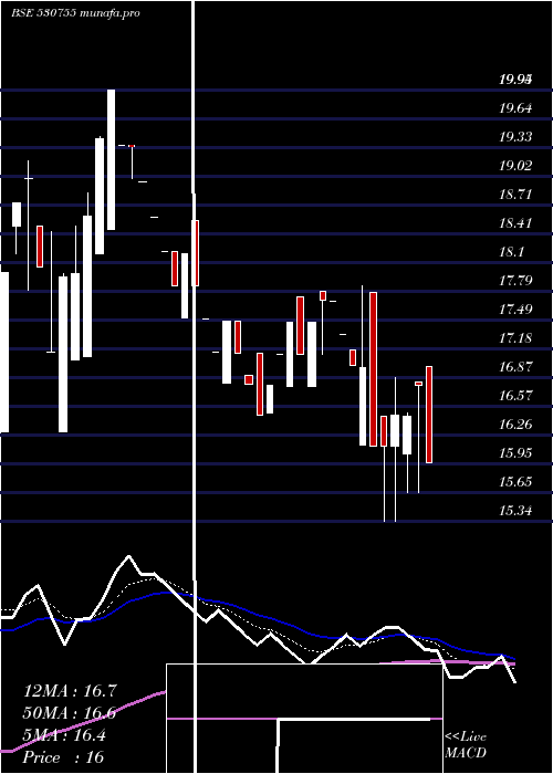  Daily chart CoralNewspr