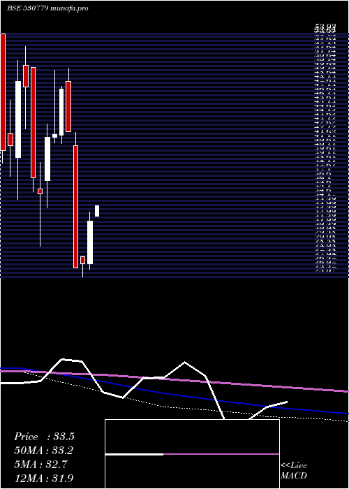 monthly chart DynamicPort