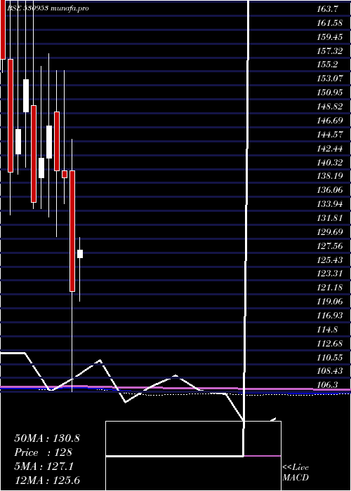  monthly chart SunilAgro