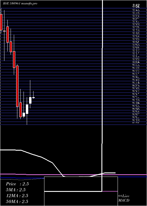  monthly chart Vikaseco