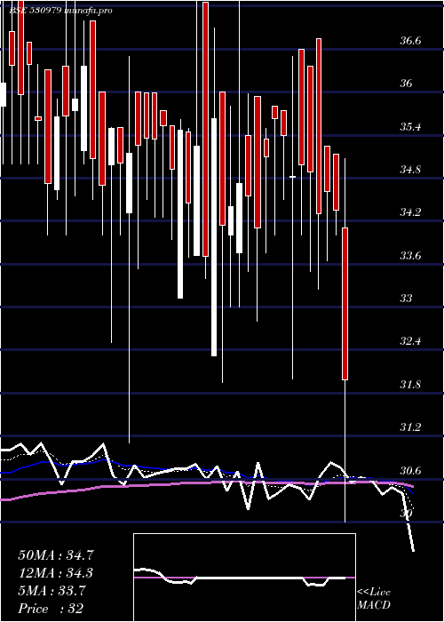  Daily chart IndiaHome