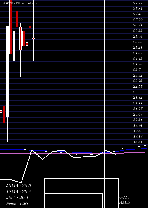  monthly chart Catvision