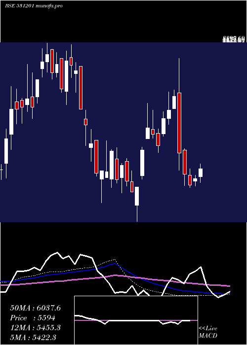  weekly chart ShilcharTec