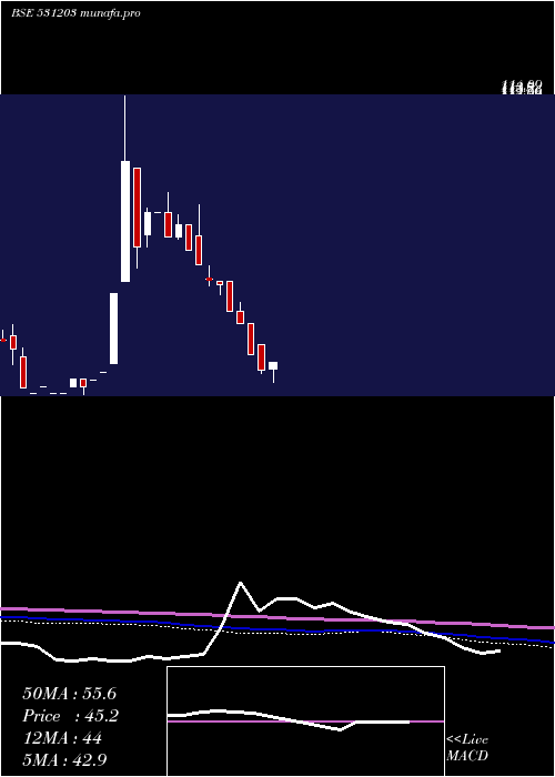  monthly chart BrandReal