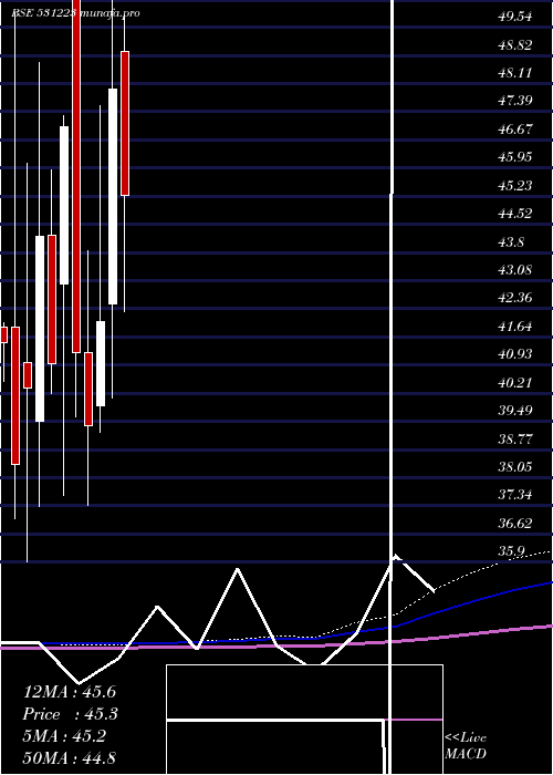  monthly chart AnjaniSynt