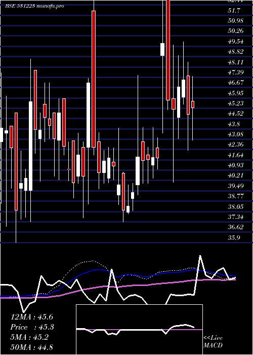  weekly chart AnjaniSynt