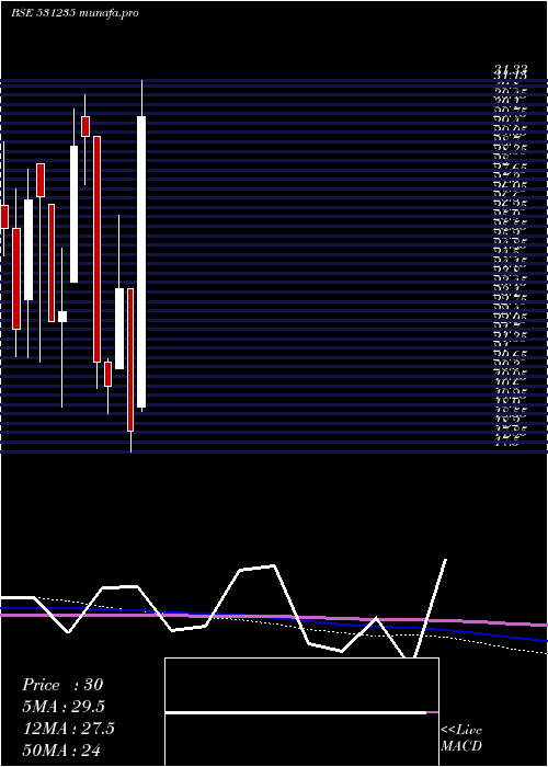 monthly chart CitiPort
