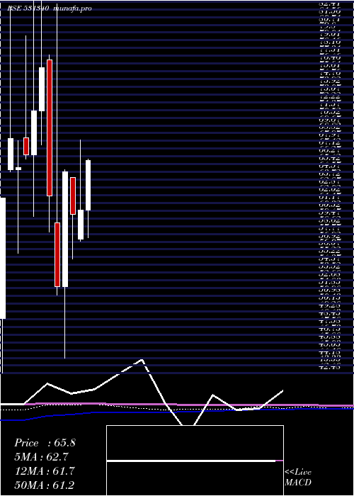 monthly chart BervinInv